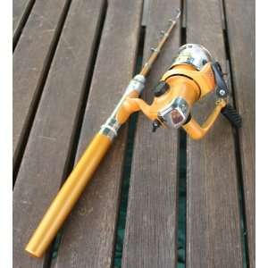   Mini Spinning Fishing Fish Rod Pen Reel Pole: Sports & Outdoors