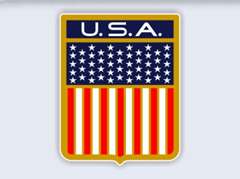 CORRECT CRAFT DECALS   USA FLAG SHIELD   SKY NAUTIQUE  
