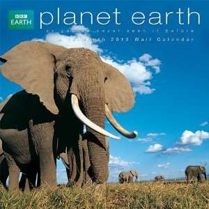  Planet Earth 2013 Wall Calendar: Office Products