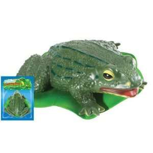  Croaking Frog Toys & Games