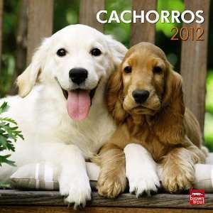  Puppies (Spanish) 2012 Wall Calendar: Office Products