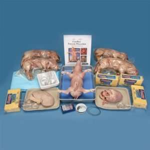 Carolina(tm) Forensic Dissection Kit for One Student Group  
