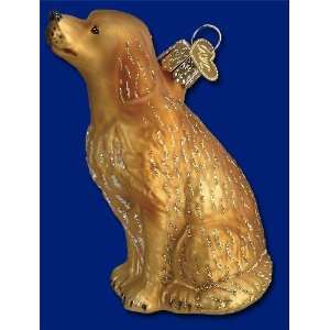   Old World Christmas ornament sitting golden retriever dog: Home