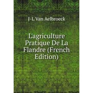   Pratique De La Flandre (French Edition) J L Van Aelbroeck Books