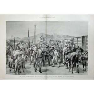  1896 Transvaal War Boer Army Train Pretoria Horses Men 