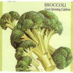   Organic Seeds  Green Sprouting Calabrese Broccoli