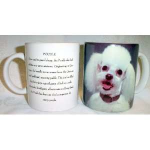  White Poodle Dog Photo Coffee Mug: Kitchen & Dining