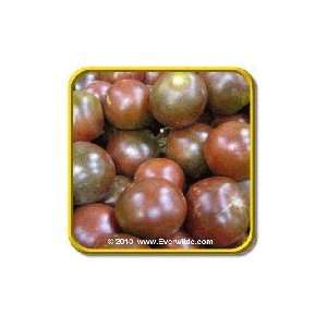   Lb   Black Prince   Bulk Heirloom Tomato Seeds Patio, Lawn & Garden