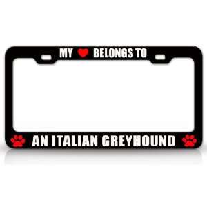 MY HEART BELONGS TO AN ITALIAN GREYHOUND Dog Pet Steel 