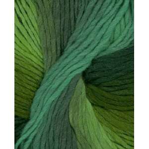  Crystal Palace Mochi Plus Yarn 574 Leaves & Sprouts Arts 