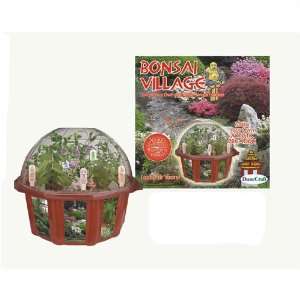  Bonsai Village   Grow Your Own Authentic Bonsai Garden 