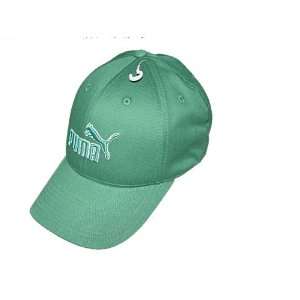   Flexfit Cotton Cap Hat   On Sale !! Retail Price $22: Everything Else