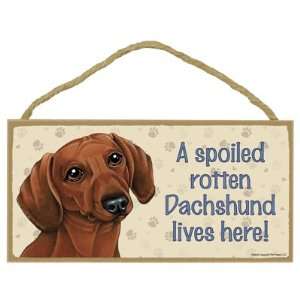 Dog Lovers Decorative Wooden Wall Plaque Sign 10 x 5   A Spoiled 