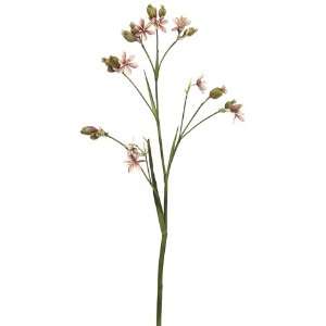  34 Leopard Lily Spray X3 Mauve (Pack of 12) Health 