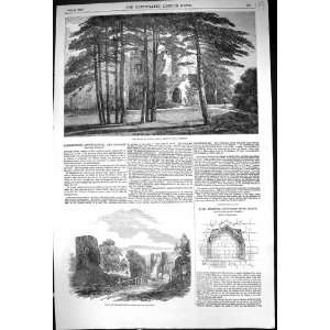  1852 Castle Sancto Laudo Newton Park Somerset Ruins 