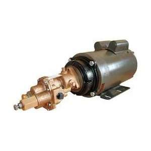 Dayton 4KHD9 Rotary Gear Pump, Bronze, 3 HP, 1 Ph:  