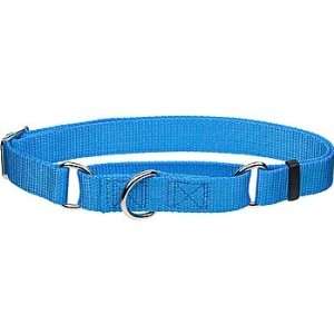   Slip Personalized Dog Collar in Light Blue, 5/8 Width: Pet Supplies