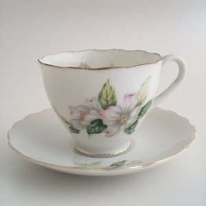    Pink & White Wild Rose Tea Cup & Saucer Set Japan