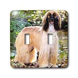  Dogs Afghan   Afghan Hound   Light Switch Covers   double 