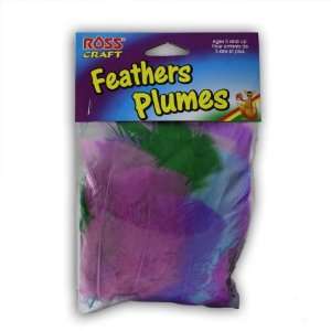  Ross Craft Feather Plumes   12 Pack: Toys & Games
