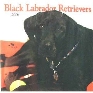 Black Labrador Retrievers 2006 Wall Calendar: Office 