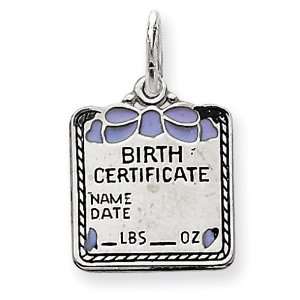  Sterling Silver Blue Birth Certificate Charm: Jewelry