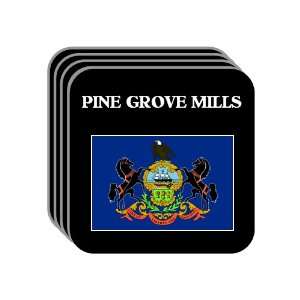  US State Flag   PINE GROVE MILLS, Pennsylvania (PA) Set of 