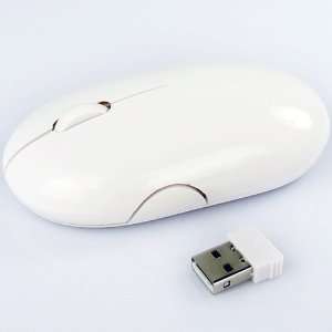  Wireless Optical Mouse with Nano Receiver for Netbooks 