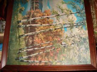   PALMER ENGELHARDT ~AUTUMN TRANQUILITY~ LAKE TREE SCENE 51x21  