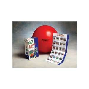  Thera Band 30 188 Inflatable Ball Size / Color 17.7 