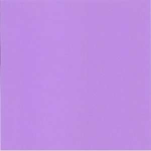  Cre8 a Page 12x12 Grape/Purple/Lilac Cardstock, 25 Sheets 
