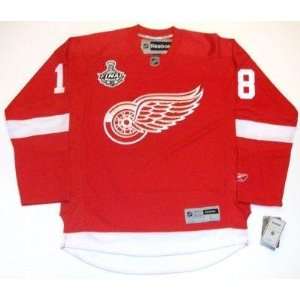  Kirk Maltby Detroit Red Wings 09 Cup Jersey Real Rbk 