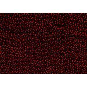   Red Dots on Black Batik By Hoffman Fabric Arts, Crafts & Sewing