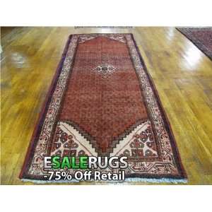    10 4 x 3 8 Botemir Hand Knotted Persian rug