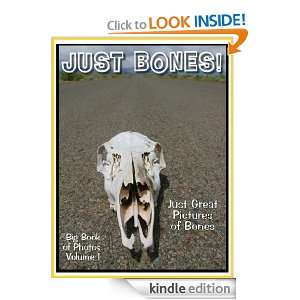Just Bone Photos Big Book of Photographs & Pictures of Bones, Vol. 1 