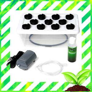 11 plant CLONING SYSTEM Hydroponic cloner + SEED KIT  