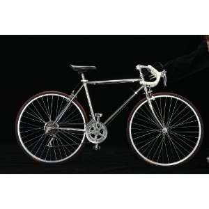  12 speed Road Bicycle, Shimano, Chrome Plate (CP)   55CM Road Bike 