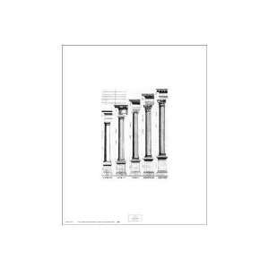  Five Orders Of Architecture Poster Print