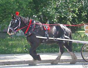 Amish made biothane or beta standardsize horse harness  