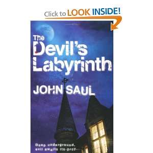  Devils Labyrinth (9780230702189) Books
