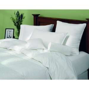   Hungarian White Goose Down Comforter Size: Full / Queen: Toys & Games