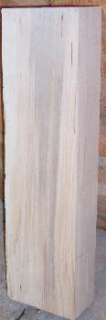 Spalted Basswood 3x6 Wood Carving Craft Sculpture Blank  