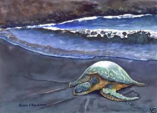 Fine Original Watercolor Painting  Sea Turtle Hawaii  