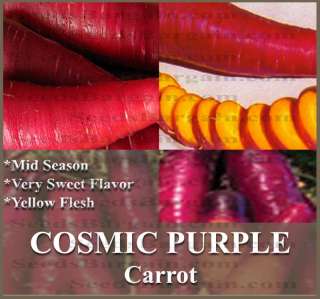 Carrot seeds   RARE YELLOW & VERY SWEET ~COSMIC PURPLE  