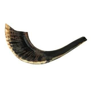 11 12 Kosher Black Rams Horn Natural Shofar Made in Israel