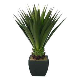 Laura Ashley 43 inch Artificial Aloe Plant  