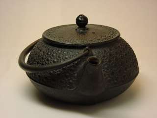 Old Japanese Cast Iron Teapot Iwachu Nambu Tetsubin Kyusu, Early 