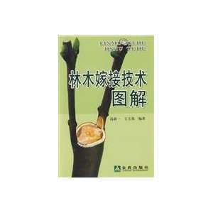   Tree Grafting Diagram (9787508256955) GAO XIN YI WANG YU YING Books