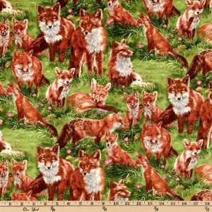  45 Wide Backyard Bandits Red Fox Multi Fabric By The 
