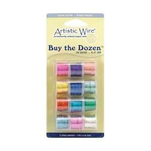  Buy The Dozen Colored Silver Plated Copper Wire 5 Yards 